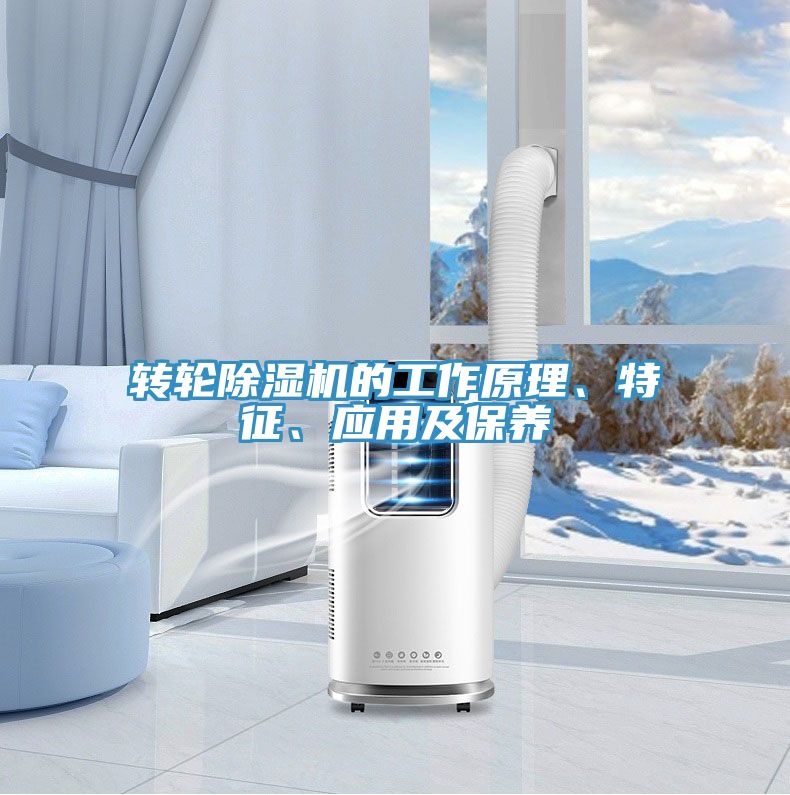 轉(zhuǎn)輪除濕機(jī)的工作原理、特征、應(yīng)用及保養(yǎng)