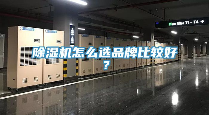 除濕機(jī)怎么選品牌比較好？