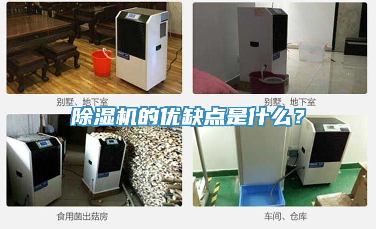 除濕機(jī)的優(yōu)缺點(diǎn)是什么？