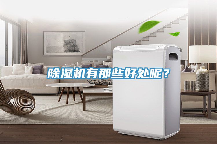 除濕機(jī)有那些好處呢？