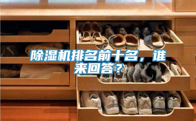 除濕機排名前十名，誰來回答？