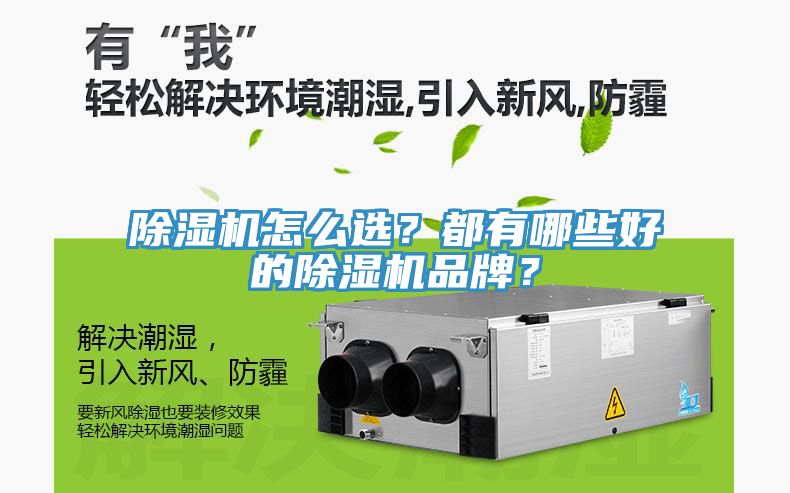 除濕機(jī)怎么選？都有哪些好的除濕機(jī)品牌？