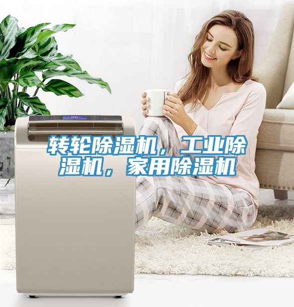轉(zhuǎn)輪除濕機，工業(yè)除濕機，家用除濕機