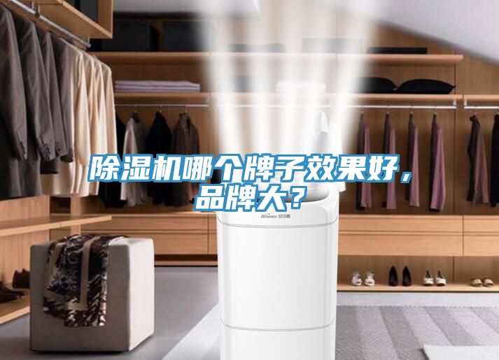 除濕機(jī)哪個(gè)牌子效果好，品牌大？