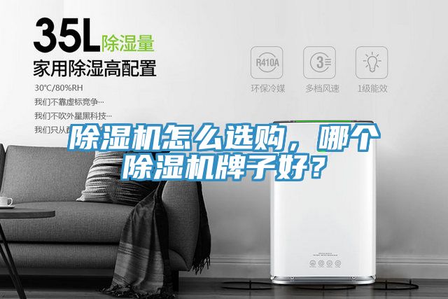 除濕機(jī)怎么選購，哪個除濕機(jī)牌子好？