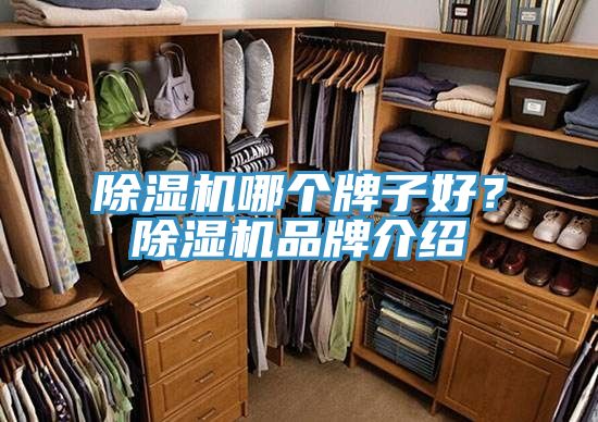 除濕機(jī)哪個(gè)牌子好？除濕機(jī)品牌介紹