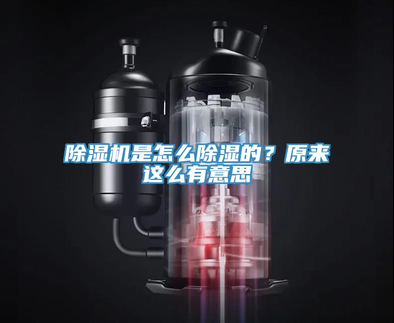 除濕機是怎么除濕的？原來這么有意思