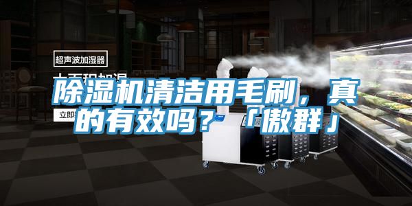除濕機清潔用毛刷，真的有效嗎？「傲群」