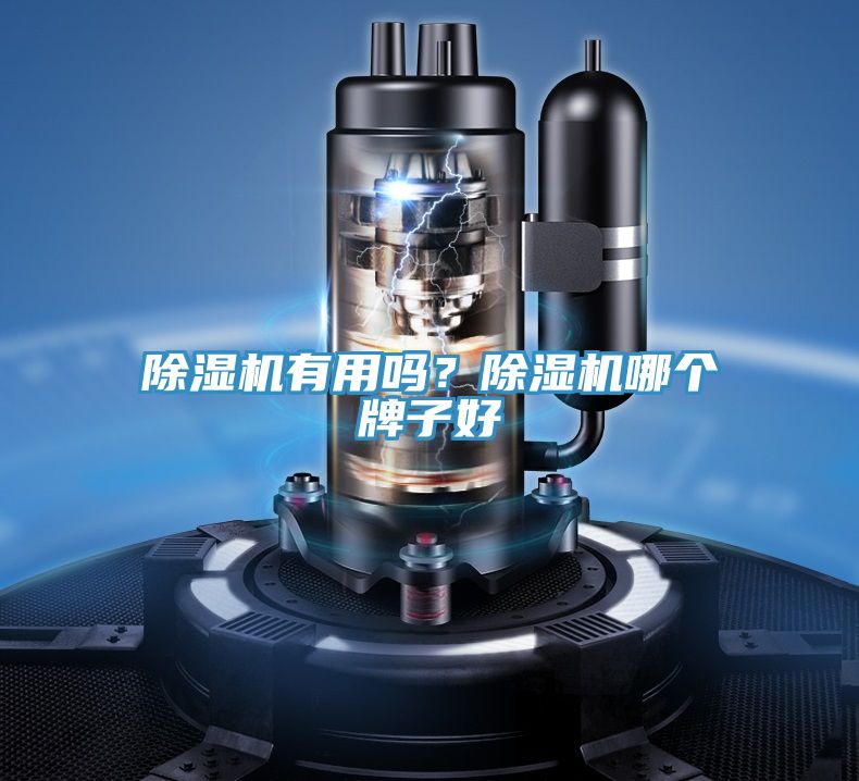 除濕機(jī)有用嗎？除濕機(jī)哪個(gè)牌子好
