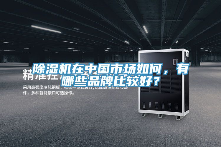 除濕機(jī)在中國市場如何，有哪些品牌比較好？