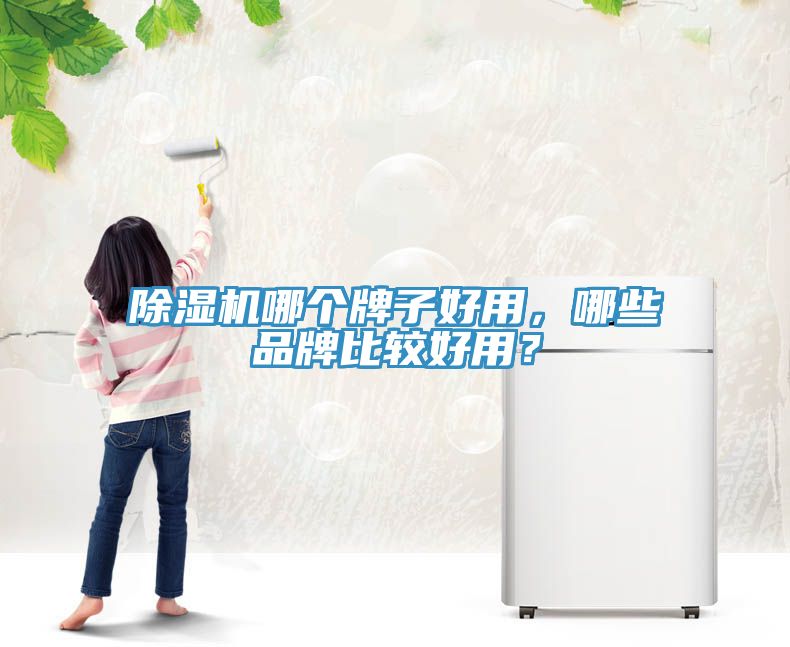 除濕機哪個牌子好用，哪些品牌比較好用？