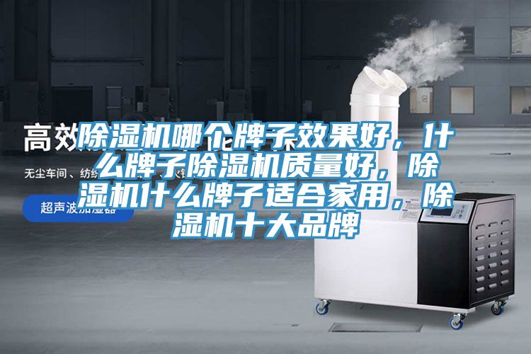 除濕機(jī)哪個(gè)牌子效果好，什么牌子除濕機(jī)質(zhì)量好，除濕機(jī)什么牌子適合家用，除濕機(jī)十大品牌