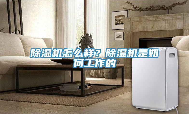 除濕機(jī)怎么樣？除濕機(jī)是如何工作的