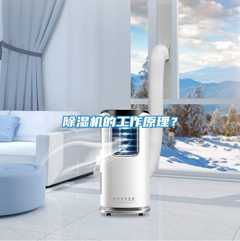 除濕機(jī)的工作原理？