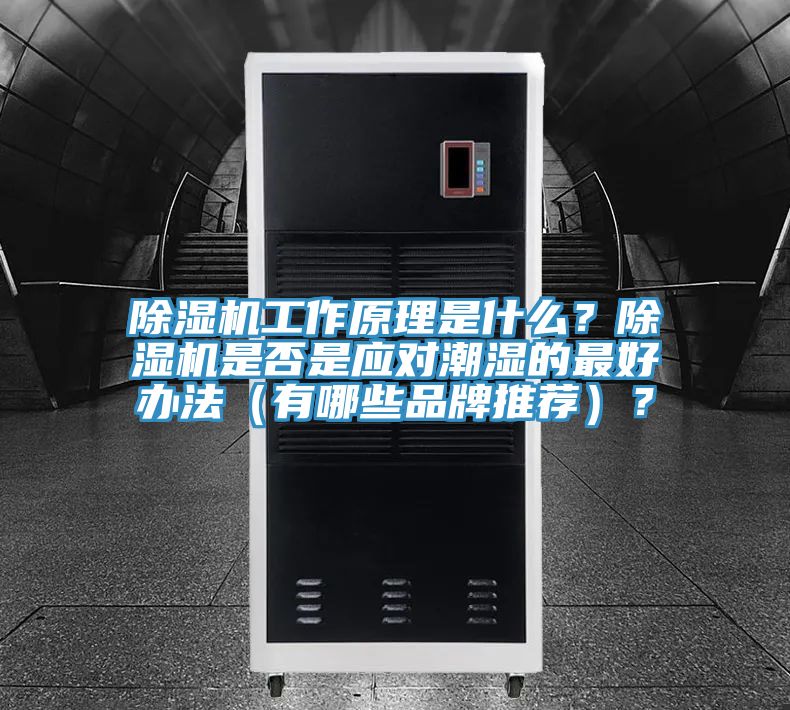 除濕機(jī)工作原理是什么？除濕機(jī)是否是應(yīng)對(duì)潮濕的最好辦法（有哪些品牌推薦）？