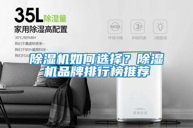 除濕機(jī)如何選擇？除濕機(jī)品牌排行榜推薦