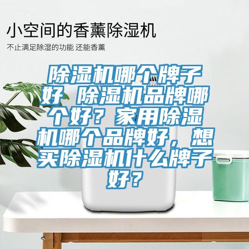 除濕機哪個牌子好 除濕機品牌哪個好？家用除濕機哪個品牌好，想買除濕機什么牌子好？
