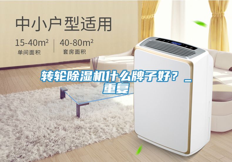轉(zhuǎn)輪除濕機什么牌子好？_重復(fù)