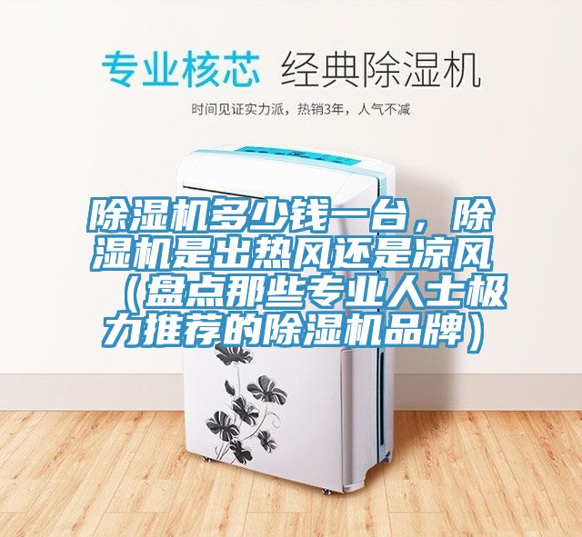 除濕機(jī)多少錢一臺，除濕機(jī)是出熱風(fēng)還是涼風(fēng)（盤點(diǎn)那些專業(yè)人士極力推薦的除濕機(jī)品牌）