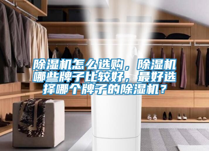 除濕機(jī)怎么選購，除濕機(jī)哪些牌子比較好，最好選擇哪個牌子的除濕機(jī)？