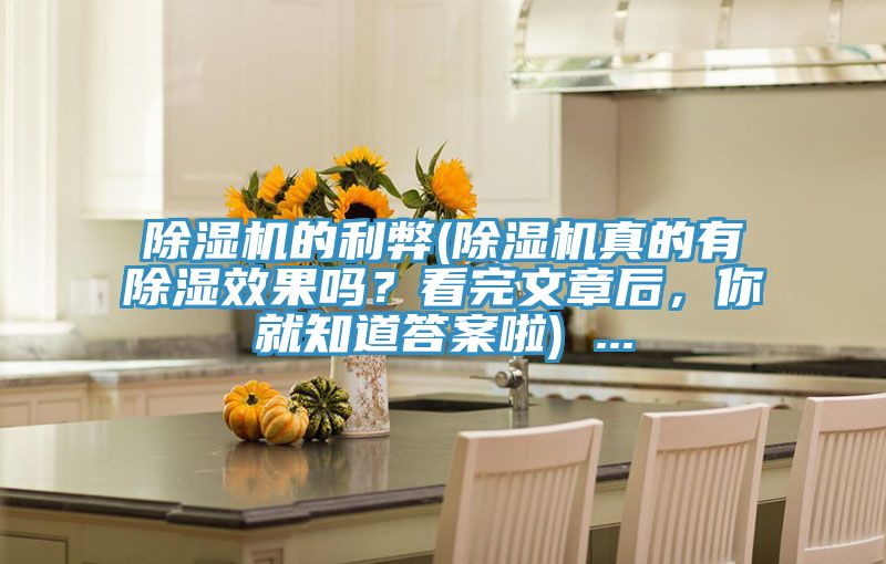 除濕機的利弊(除濕機真的有除濕效果嗎？看完文章后，你就知道答案啦) ...