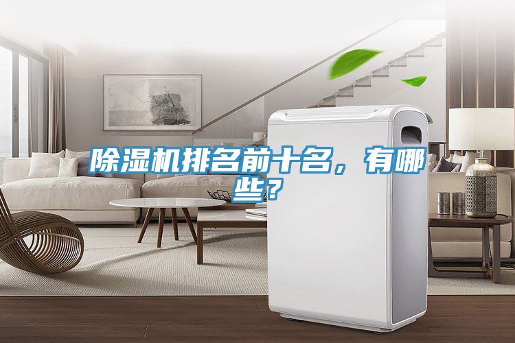 除濕機排名前十名，有哪些？