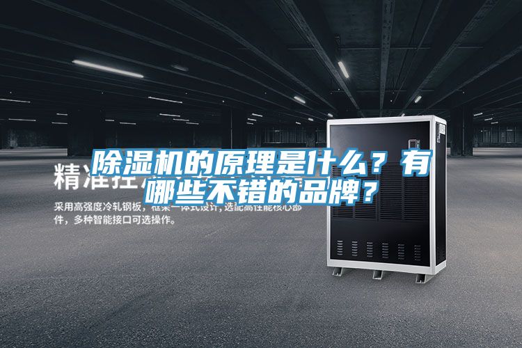 除濕機的原理是什么？有哪些不錯的品牌？