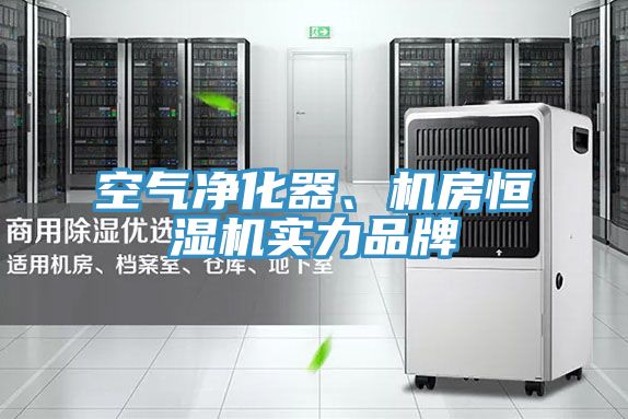 空氣凈化器、機(jī)房恒濕機(jī)實力品牌