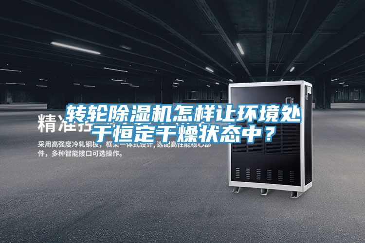 轉輪除濕機怎樣讓環(huán)境處于恒定干燥狀態(tài)中？