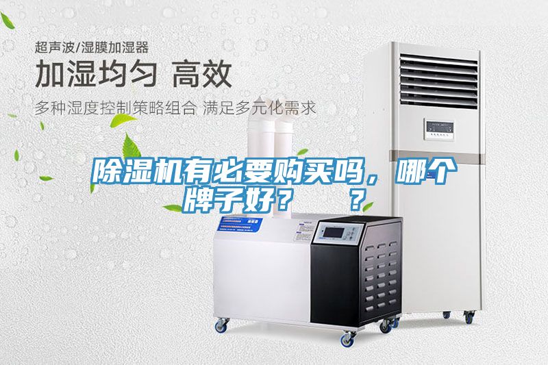 除濕機有必要購買嗎，哪個牌子好？  ？