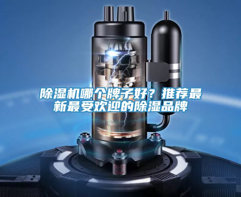 除濕機哪個牌子好？推薦最新最受歡迎的除濕品牌