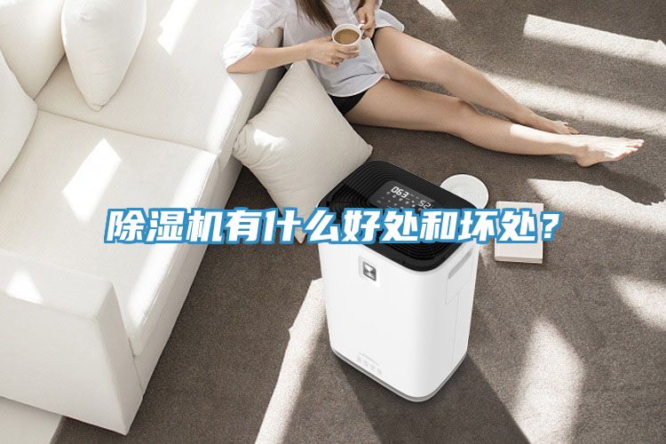 除濕機(jī)有什么好處和壞處？