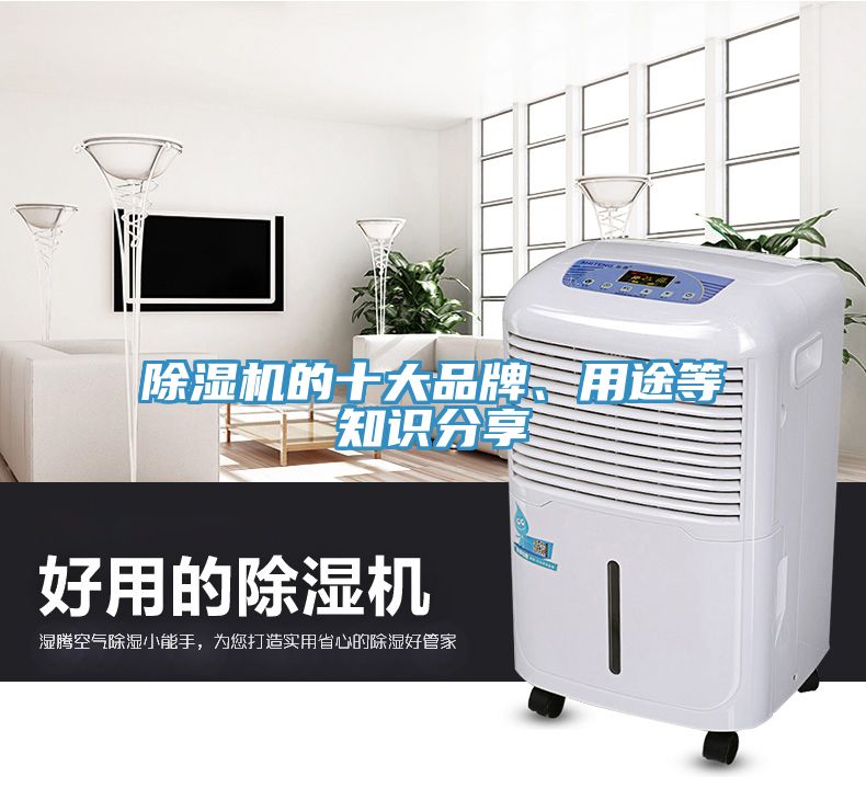 除濕機(jī)的十大品牌、用途等知識分享