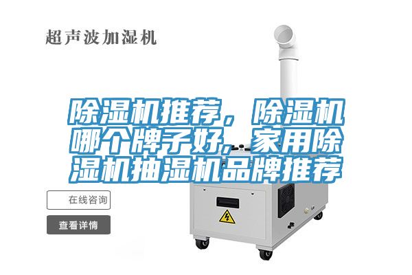 除濕機(jī)推薦，除濕機(jī)哪個(gè)牌子好, 家用除濕機(jī)抽濕機(jī)品牌推薦