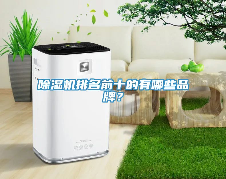 除濕機(jī)排名前十的有哪些品牌？