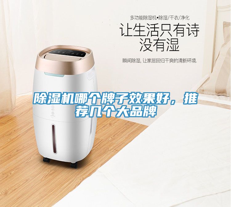 除濕機(jī)哪個(gè)牌子效果好，推薦幾個(gè)大品牌