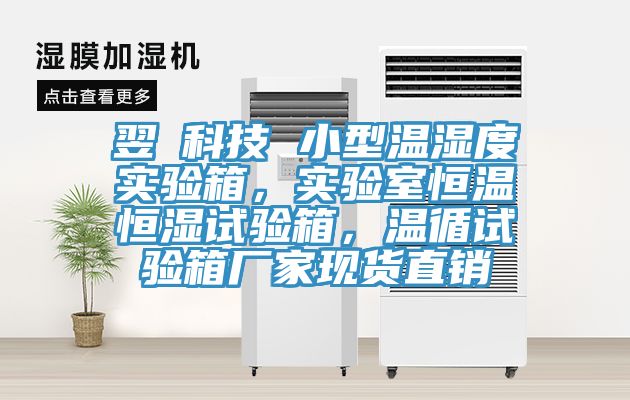 翌昇科技 小型溫濕度實驗箱，實驗室恒溫恒濕試驗箱，溫循試驗箱廠家現貨直銷