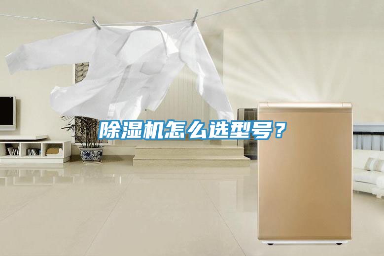 除濕機(jī)怎么選型號(hào)？