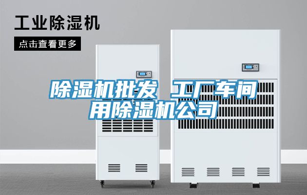 除濕機(jī)批發(fā) 工廠(chǎng)車(chē)間用除濕機(jī)公司