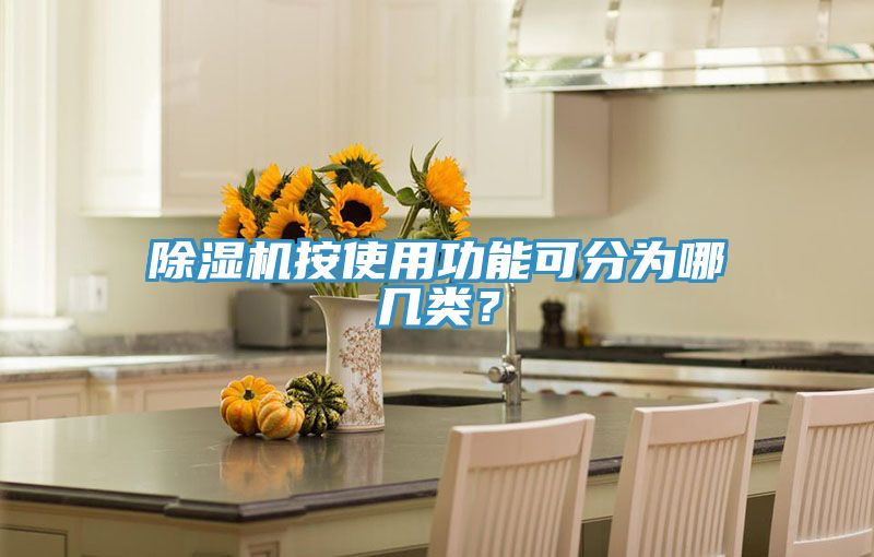 除濕機(jī)按使用功能可分為哪幾類(lèi)？