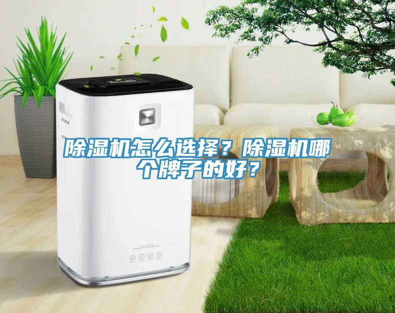 除濕機(jī)怎么選擇？除濕機(jī)哪個牌子的好？