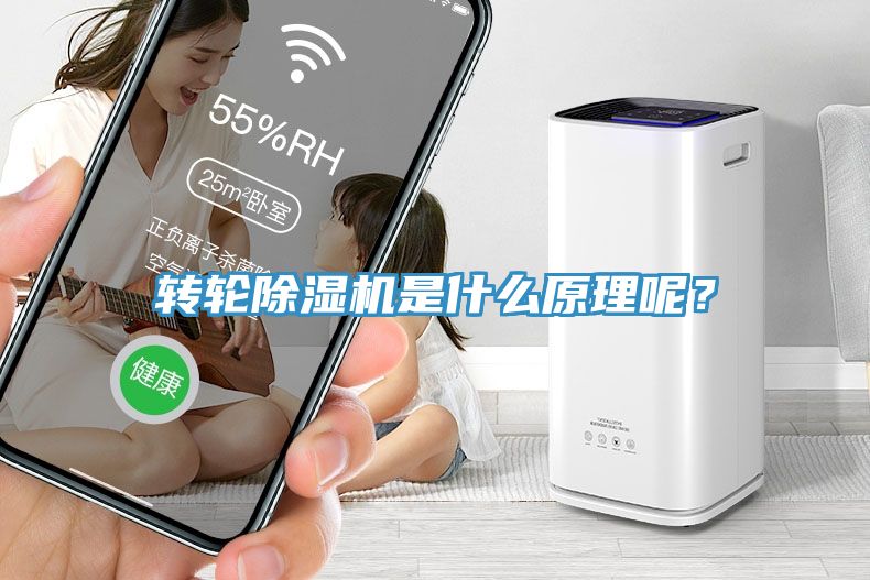 轉(zhuǎn)輪除濕機(jī)是什么原理呢？