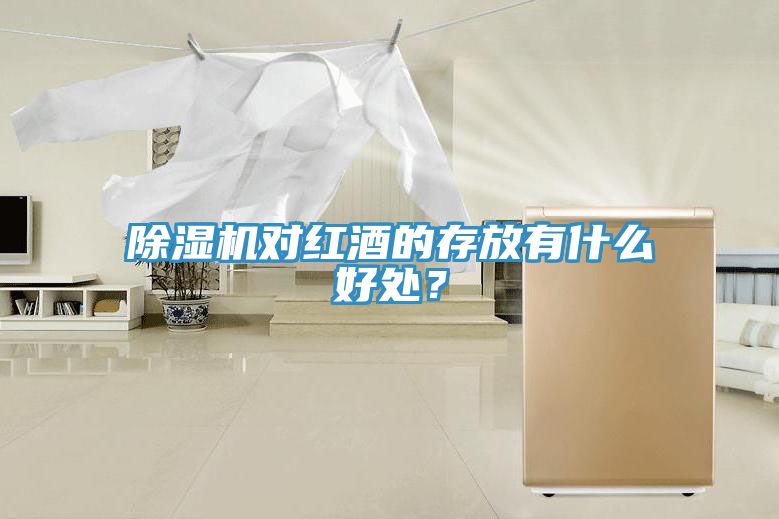 除濕機(jī)對(duì)紅酒的存放有什么好處？