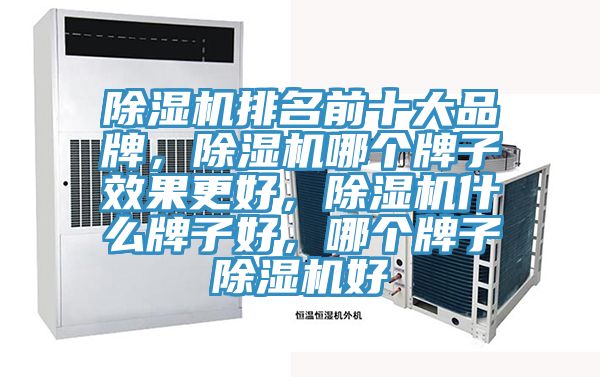 除濕機(jī)排名前十大品牌，除濕機(jī)哪個(gè)牌子效果更好，除濕機(jī)什么牌子好，哪個(gè)牌子除濕機(jī)好