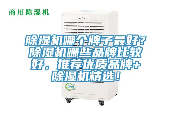 除濕機(jī)哪個(gè)牌子最好？除濕機(jī)哪些品牌比較好，推薦優(yōu)質(zhì)品牌+除濕機(jī)精選！