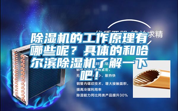 除濕機(jī)的工作原理有哪些呢？具體的和哈爾濱除濕機(jī)了解一下吧！