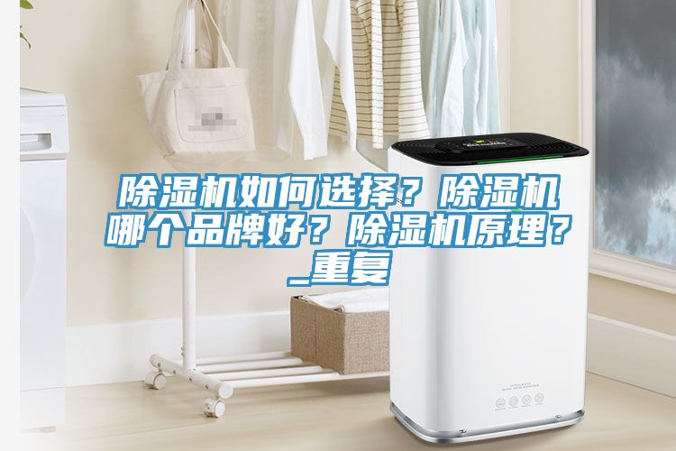除濕機(jī)如何選擇？除濕機(jī)哪個(gè)品牌好？除濕機(jī)原理？_重復(fù)