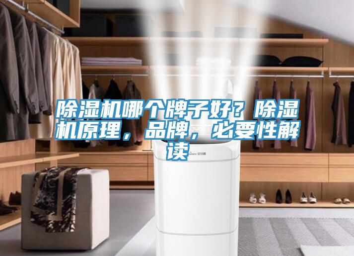 除濕機哪個牌子好？除濕機原理，品牌，必要性解讀