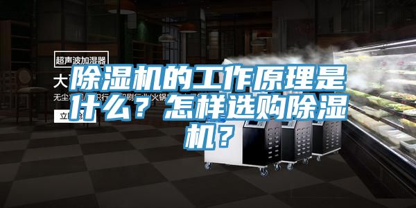 除濕機(jī)的工作原理是什么？怎樣選購除濕機(jī)？