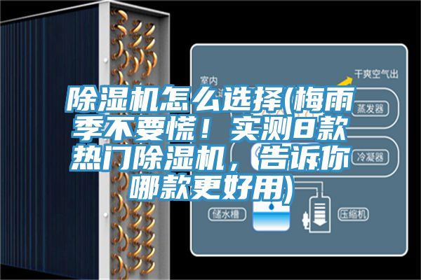 除濕機(jī)怎么選擇(梅雨季不要慌！實(shí)測8款熱門除濕機(jī)，告訴你哪款更好用)